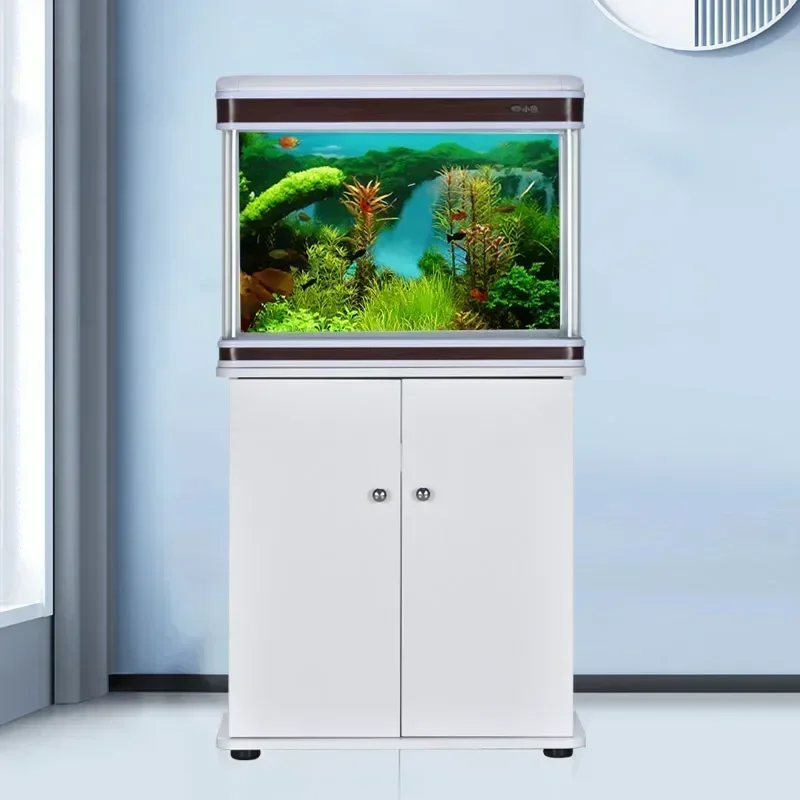 Professional Aquarium Supplier - Aquarium Fish Supplier ulasan dan harga