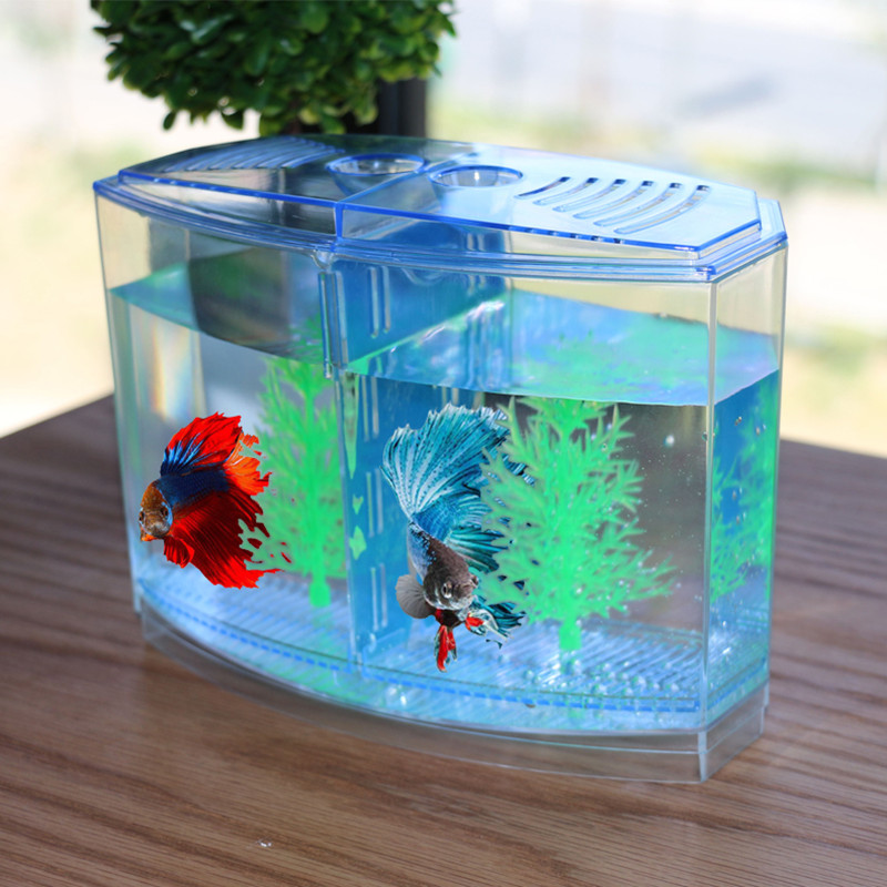 Novel and Funny Toy Creative F - Aquarium Fish Keeping ulasan dan harga