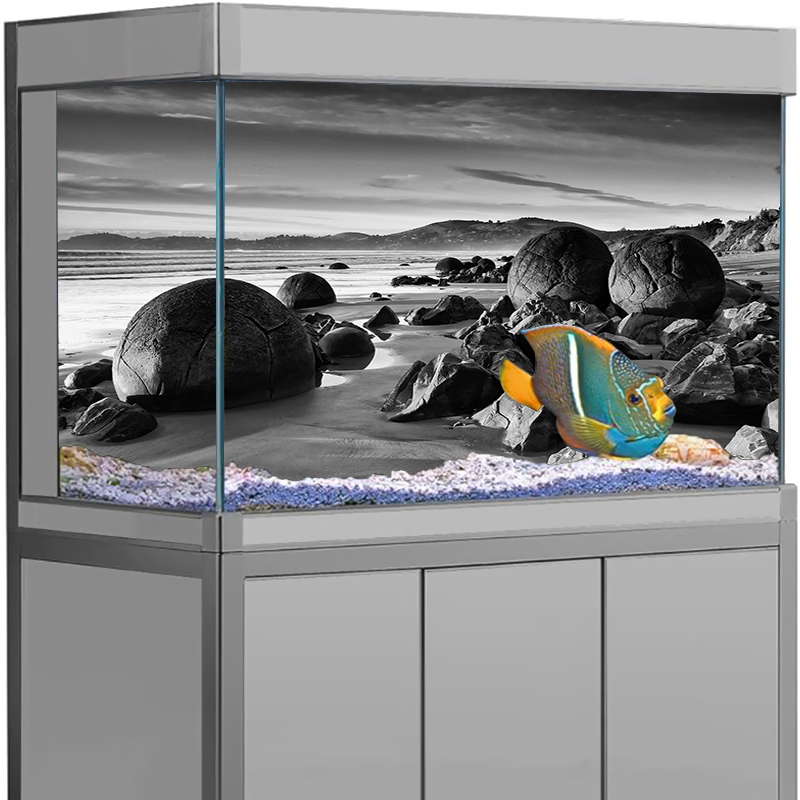 Aquarium Background Sticker St - Aquarium Fish Wallpaper ulasan dan harga