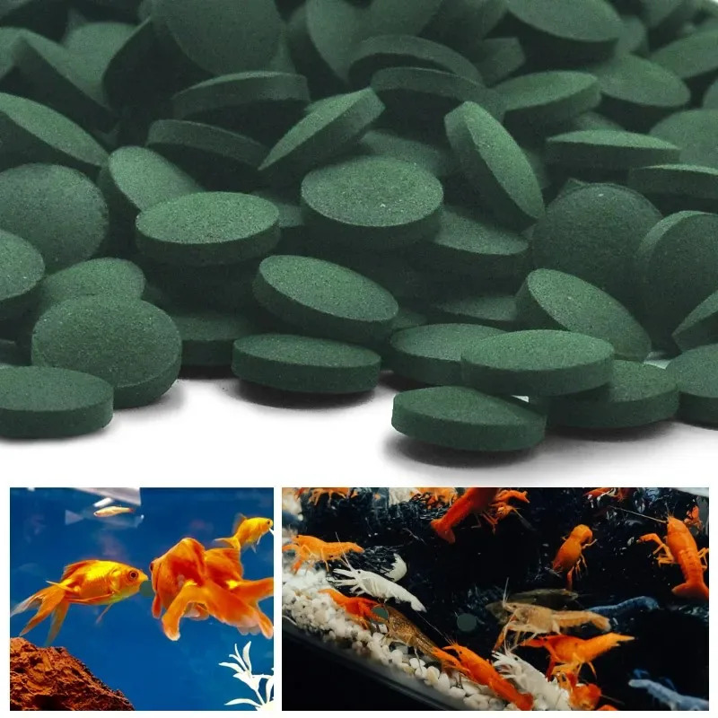 50/100/300/500pcs Spirulina Ta - Aquarium Fish Holiday Food ulasan dan harga