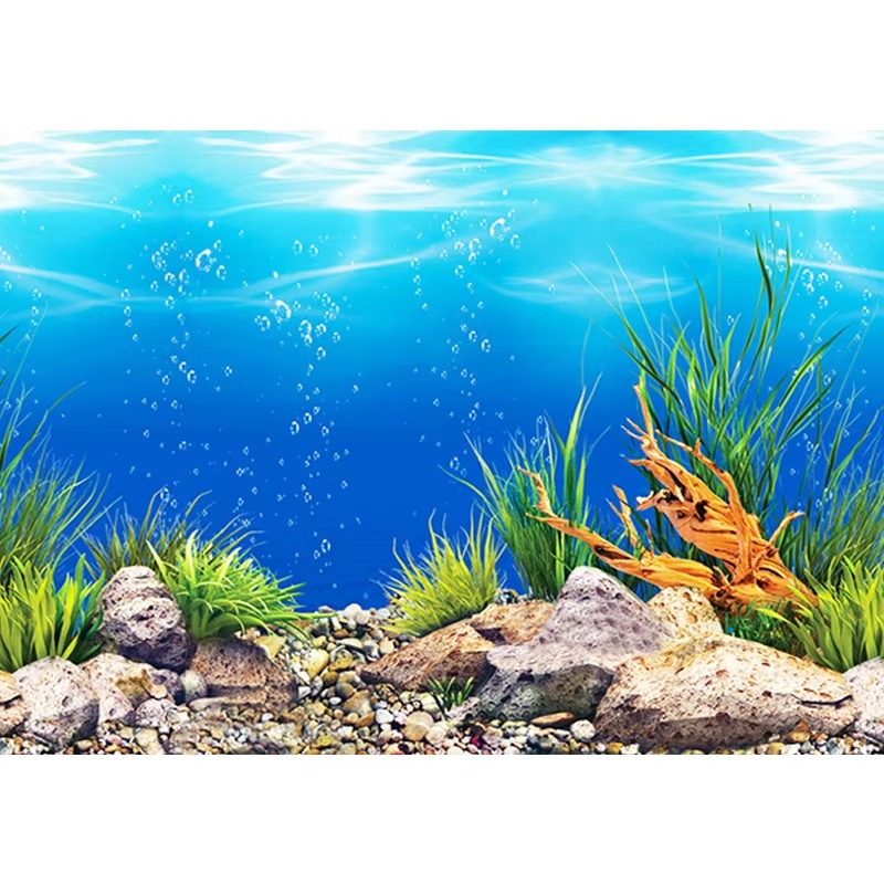50cm Aquarium Decoration Water - Aquarium Fish Wallpaper ulasan dan harga