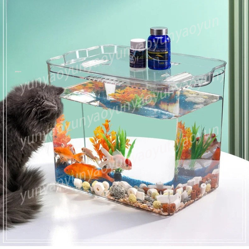 Self Cleaning Aquarium Free Re - Aquarium Fish Supplier ulasan dan harga