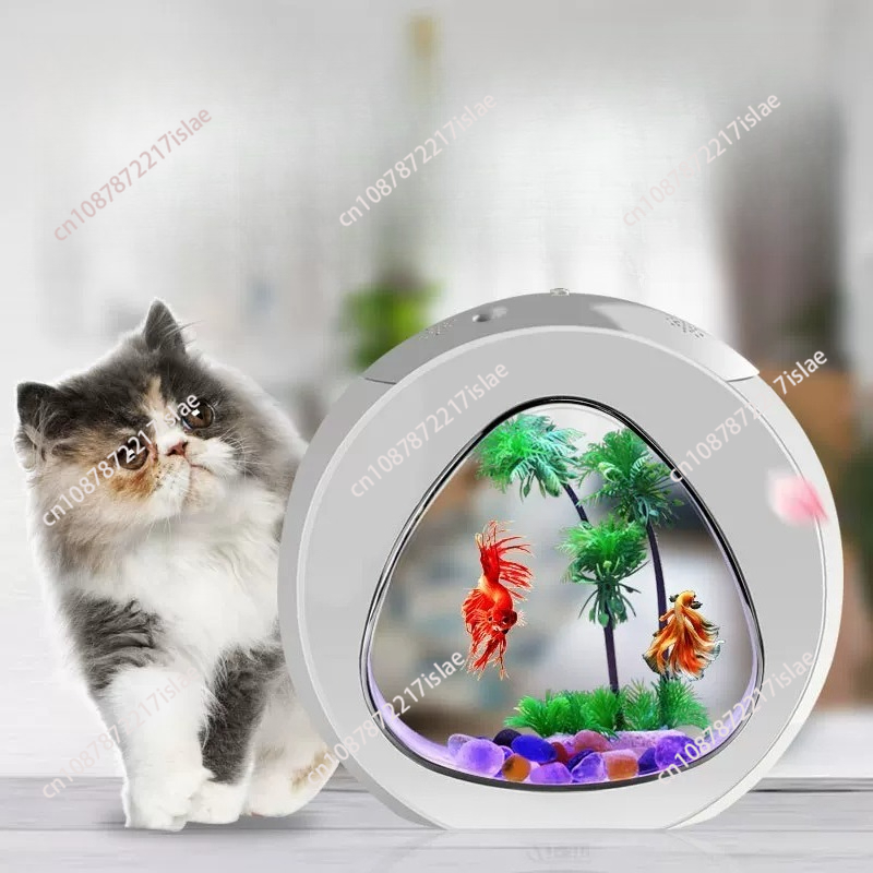 Small Desktop Acrylic Fish Tan - Aquarium Fish Small ulasan dan harga