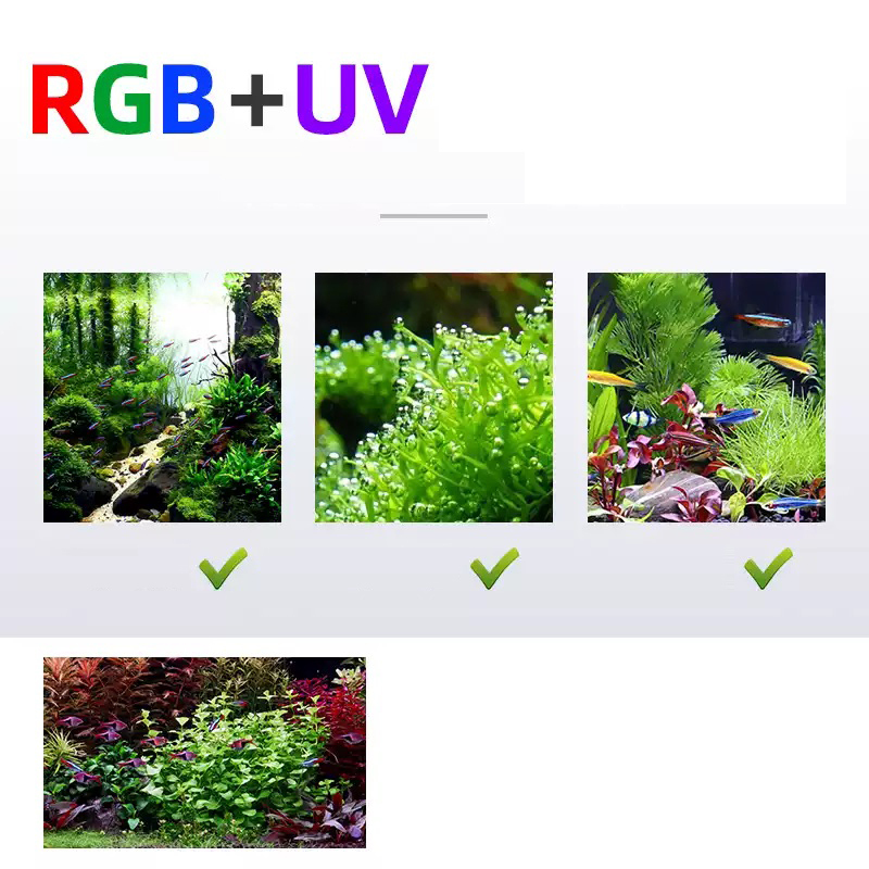 Led Lighting 60cm 80cm 90cm RG - Aquarium Fish For Sale ulasan dan harga