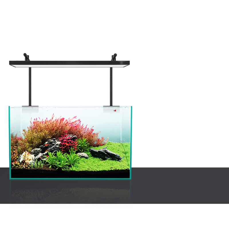Led Lighting 60cm 80cm 90cm RG - Aquarium Fish For Sale ulasan dan harga