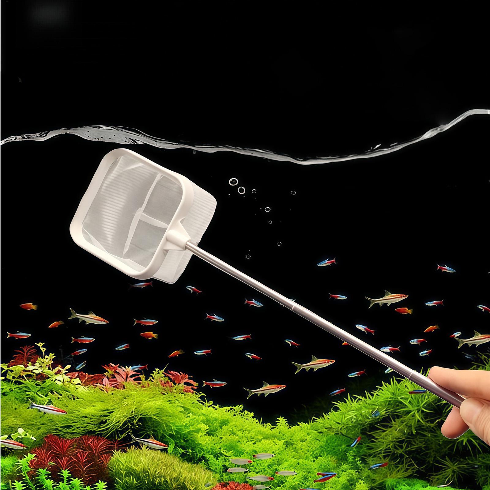 Extendable Long Handle Fine Me - Aquarium Fish Long ulasan dan harga