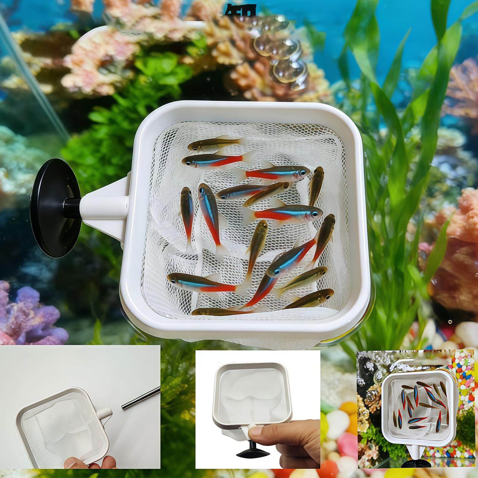 Extendable Long Handle Fine Me - Aquarium Fish Long ulasan dan harga
