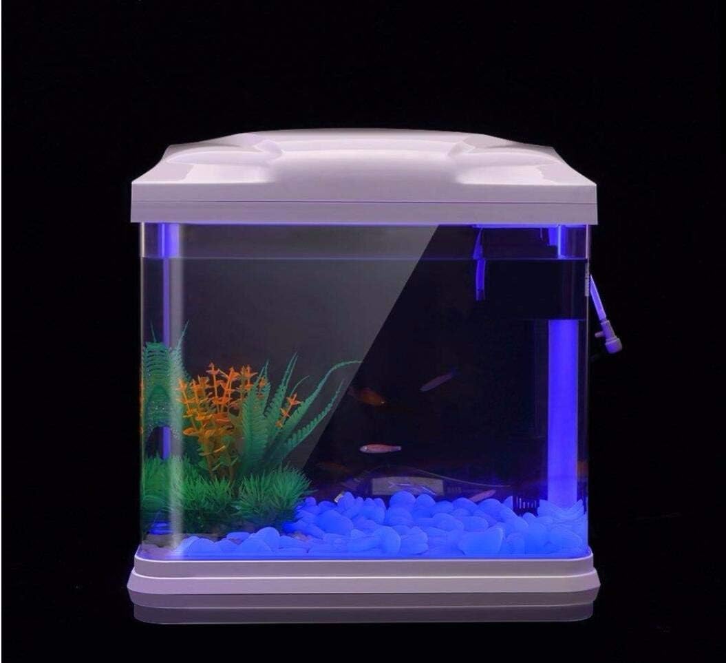 Fish Tank Rocks Glow Blue Pebb - Aquarium Fish Quarantine ulasan dan harga