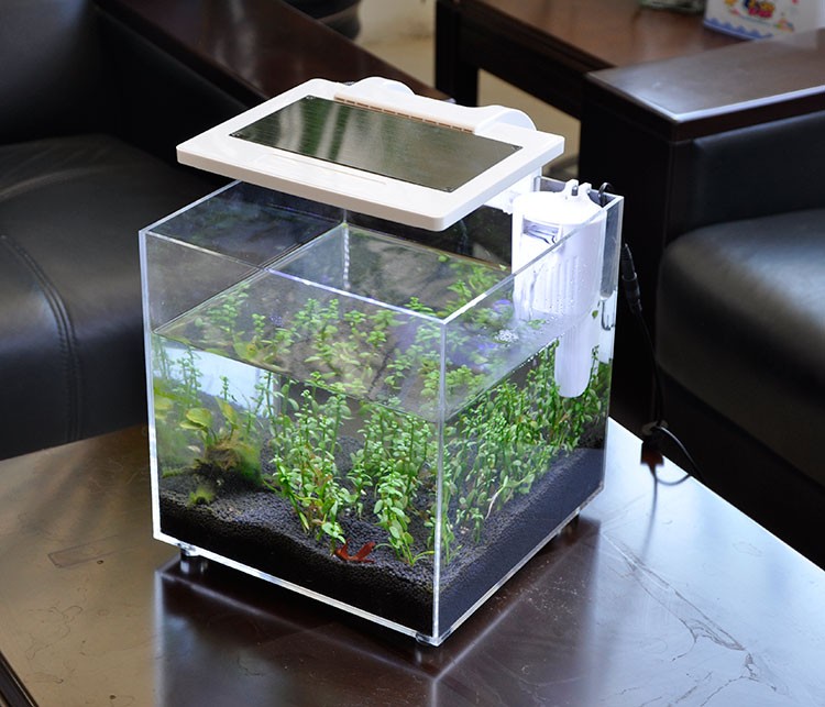 Mini Acrylic (25*25*25cm) Sale - Aquarium Fish For Sale ulasan dan harga