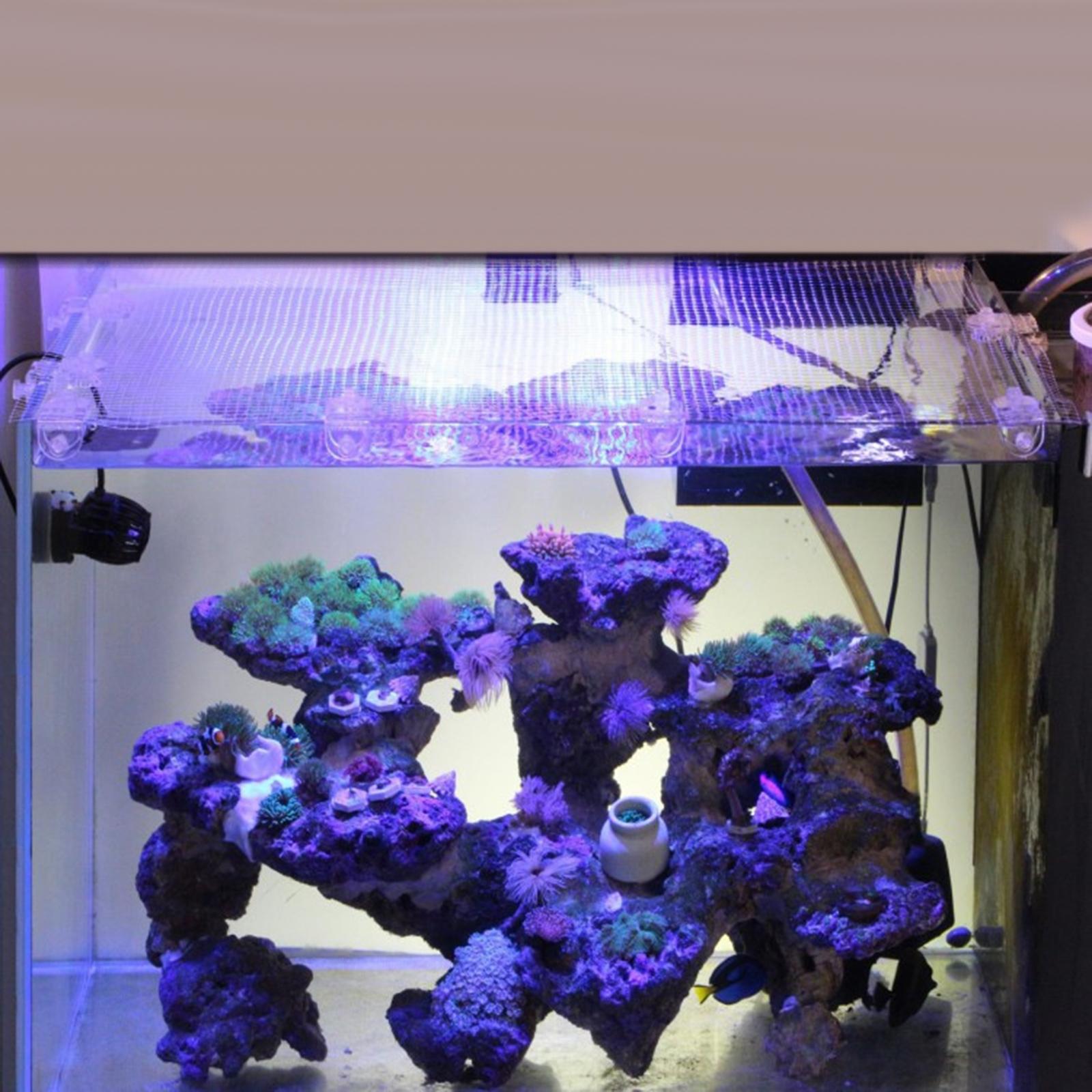 Transparent Mesh Fish Tank Scr - Tank Divider Mesh ulasan dan harga