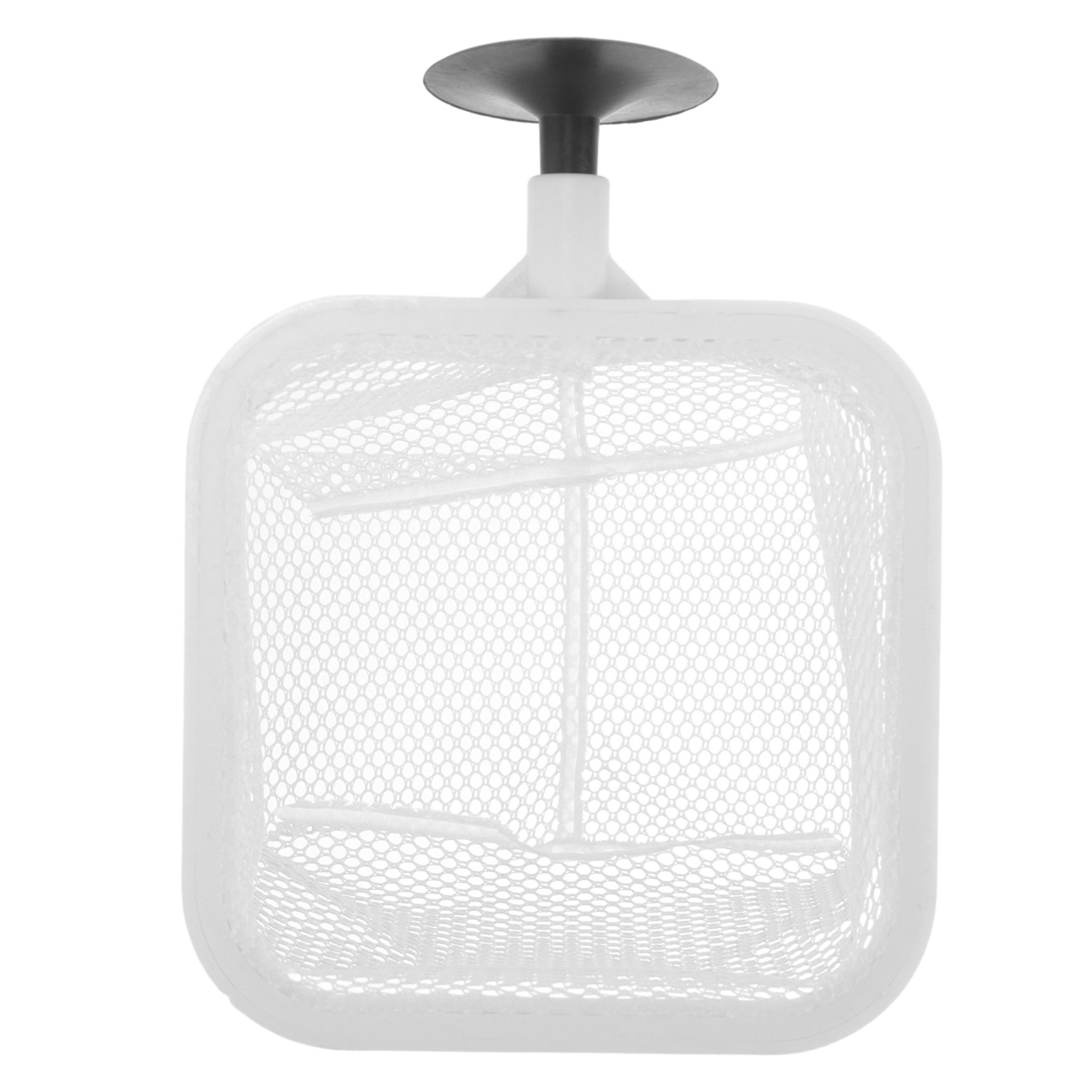 Fish Tank Isolation Box with S - Tank Divider Mesh ulasan dan harga
