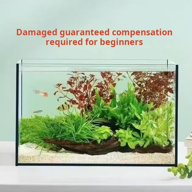Ultra Clear Large Rectangle Gl - Aquarium Fish Keeping ulasan dan harga