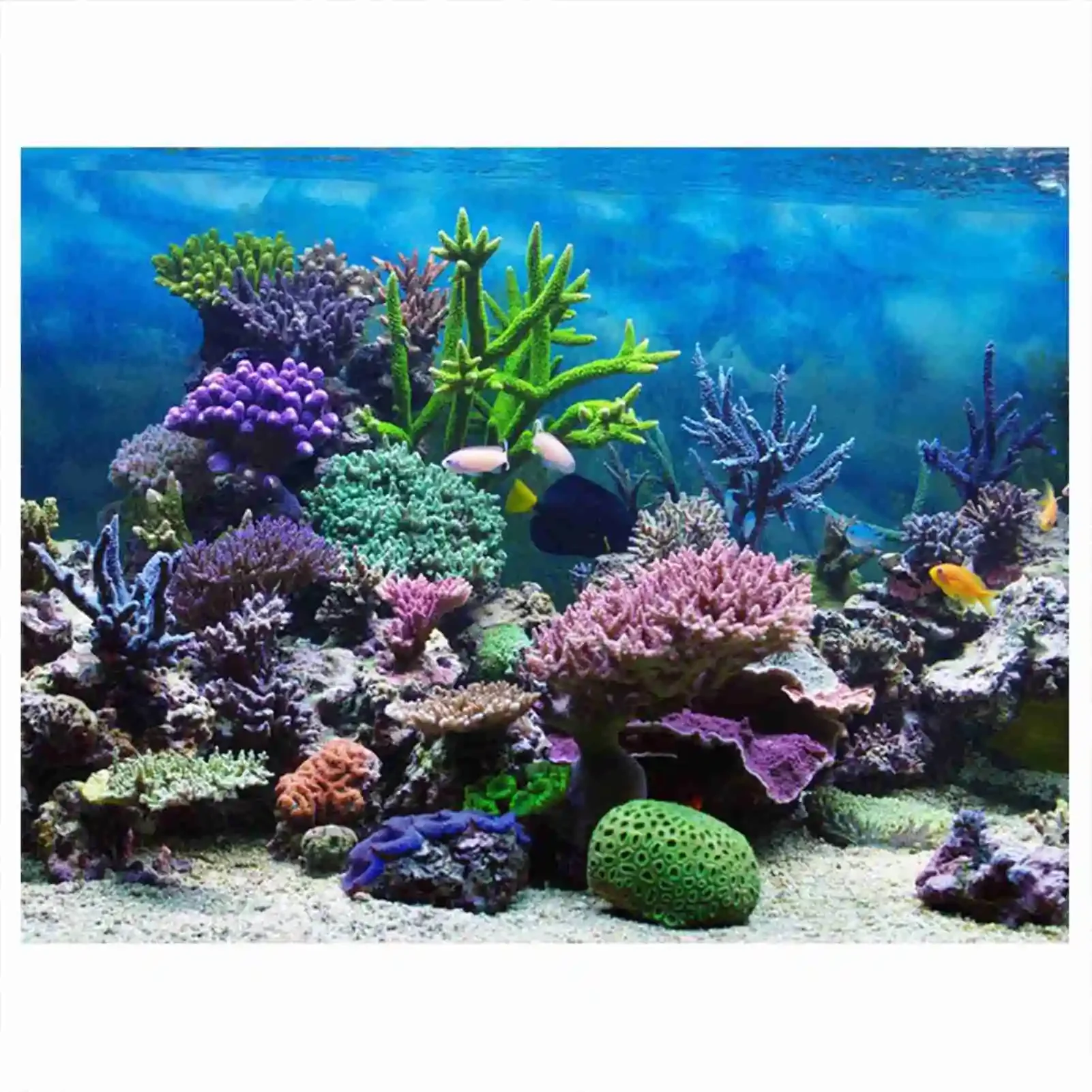3D Aquarium Landscape Poster R - Aquarium Fish Wallpaper ulasan dan harga