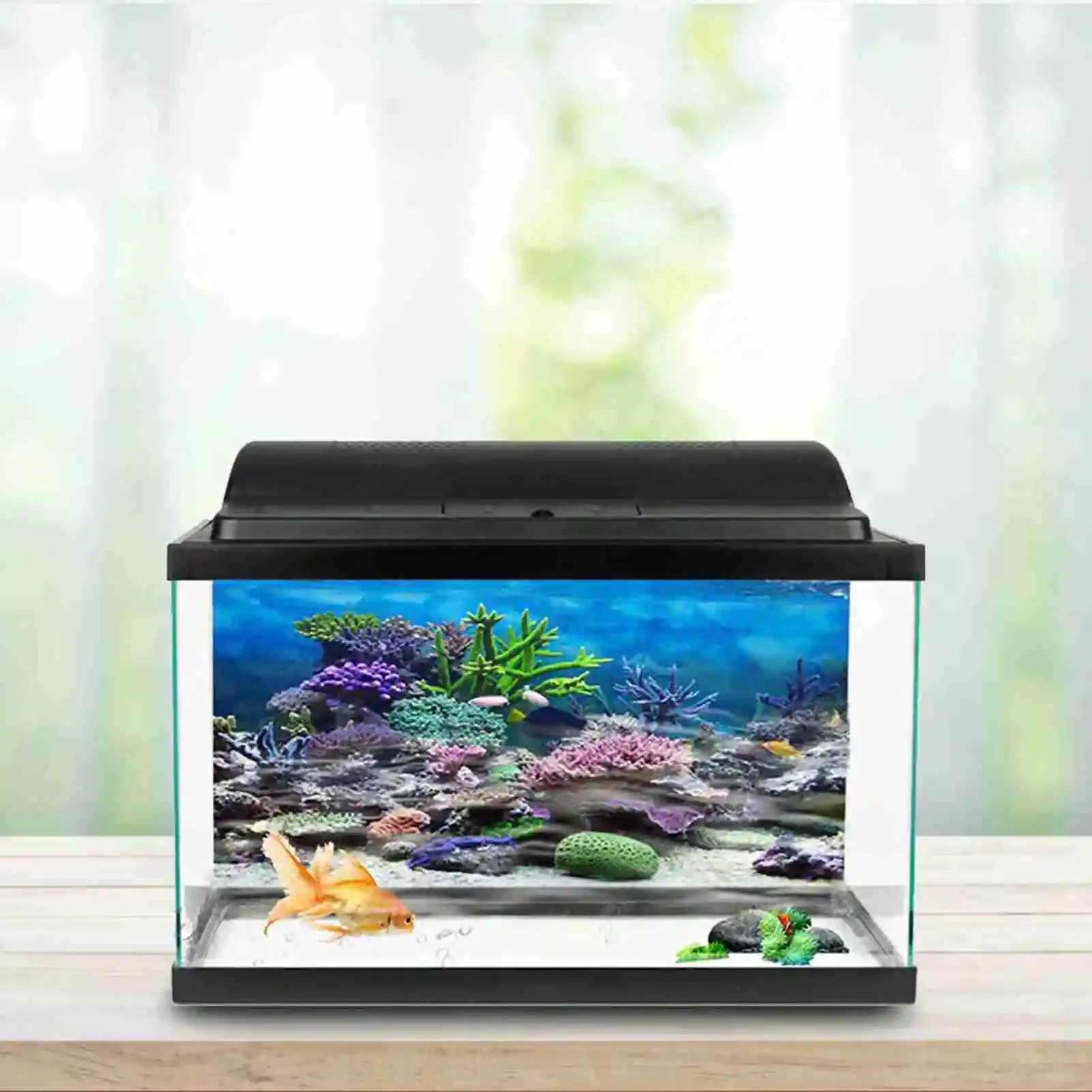 3D Aquarium Landscape Poster R - Aquarium Fish Wallpaper ulasan dan harga