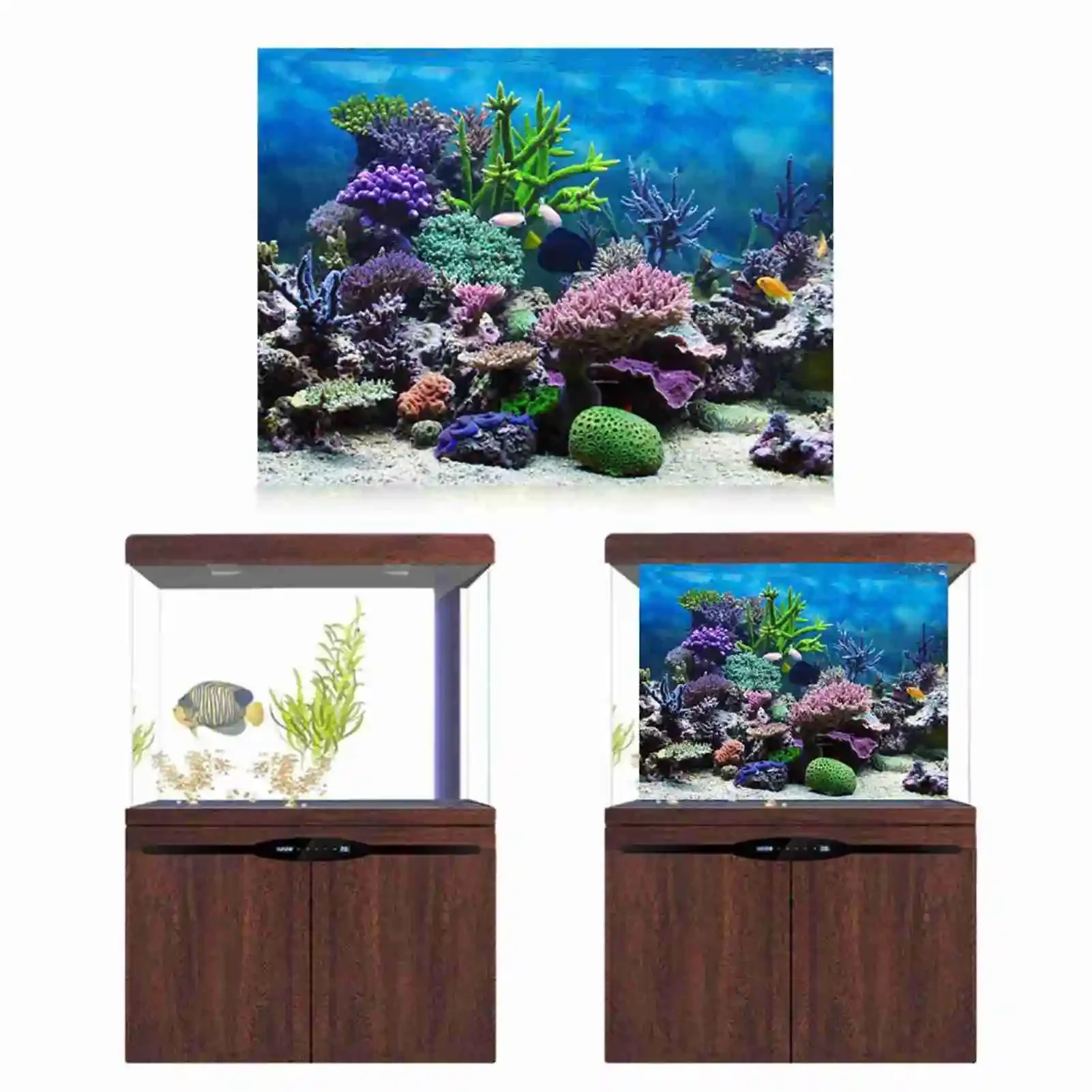 3D Aquarium Landscape Poster R - Aquarium Fish Wallpaper ulasan dan harga