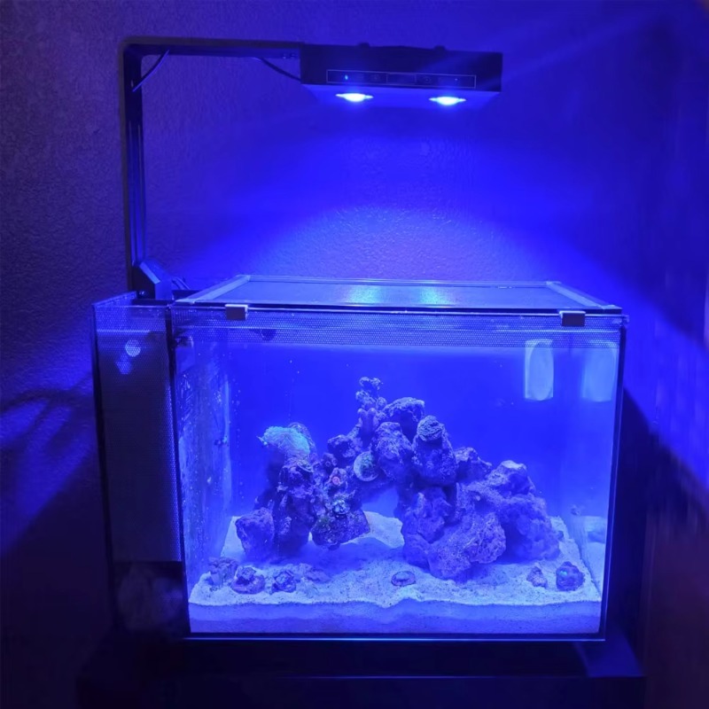 China Supplier Dimmable 95W Fu - Aquarium Fish Supplier ulasan dan harga