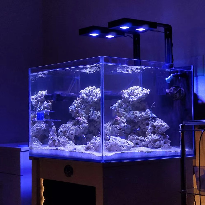 China Supplier Dimmable 95W Fu - Aquarium Fish Supplier ulasan dan harga