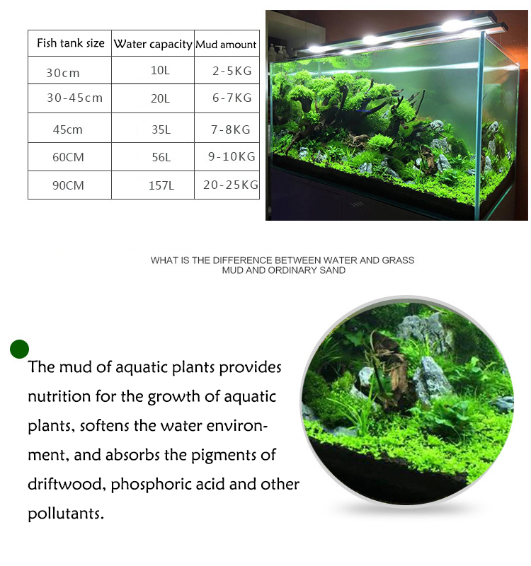 Aquarium Plant Seeds Soil Fish - Aquarium Fish Quarantine ulasan dan harga