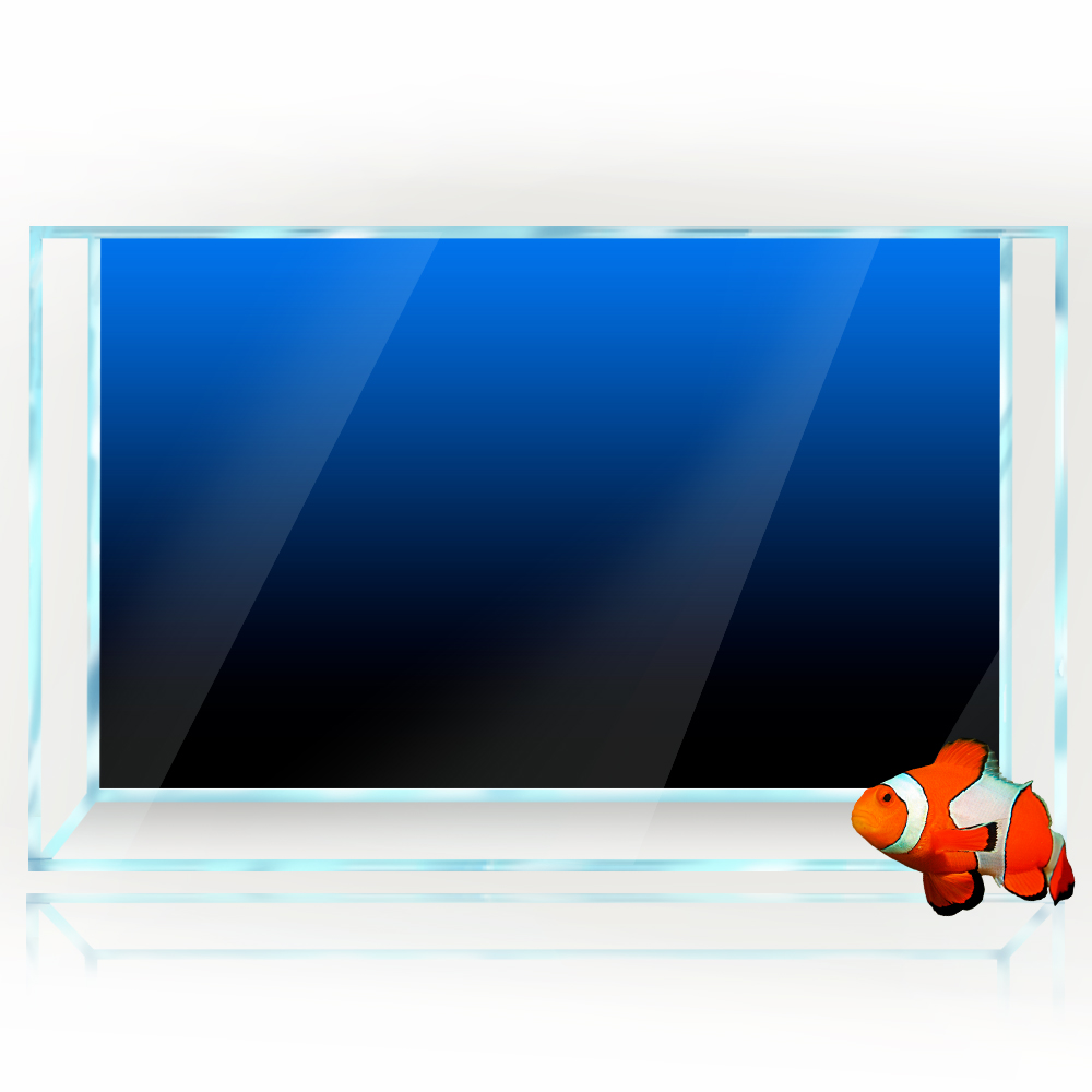 Fish Tank Background Sticker B - Aquarium Fish Wallpaper ulasan dan harga