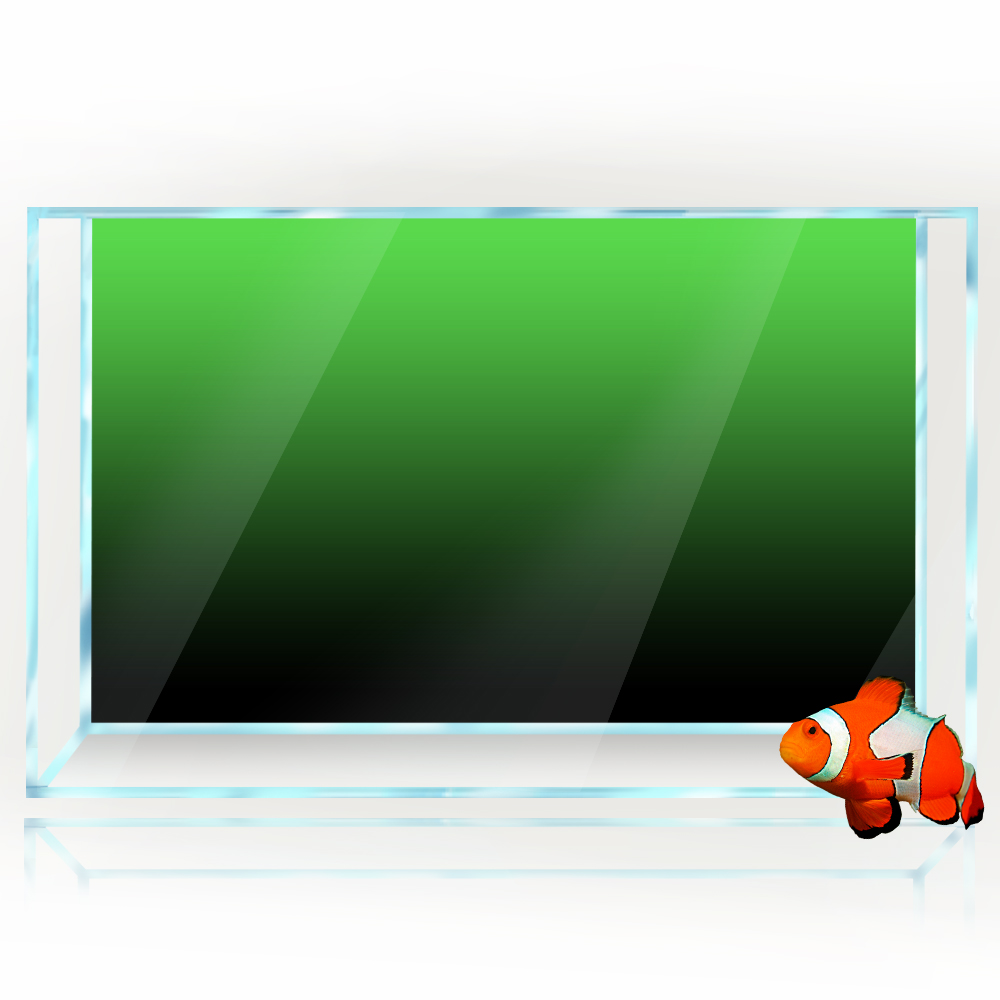Fish Tank Background Sticker B - Aquarium Fish Wallpaper ulasan dan harga