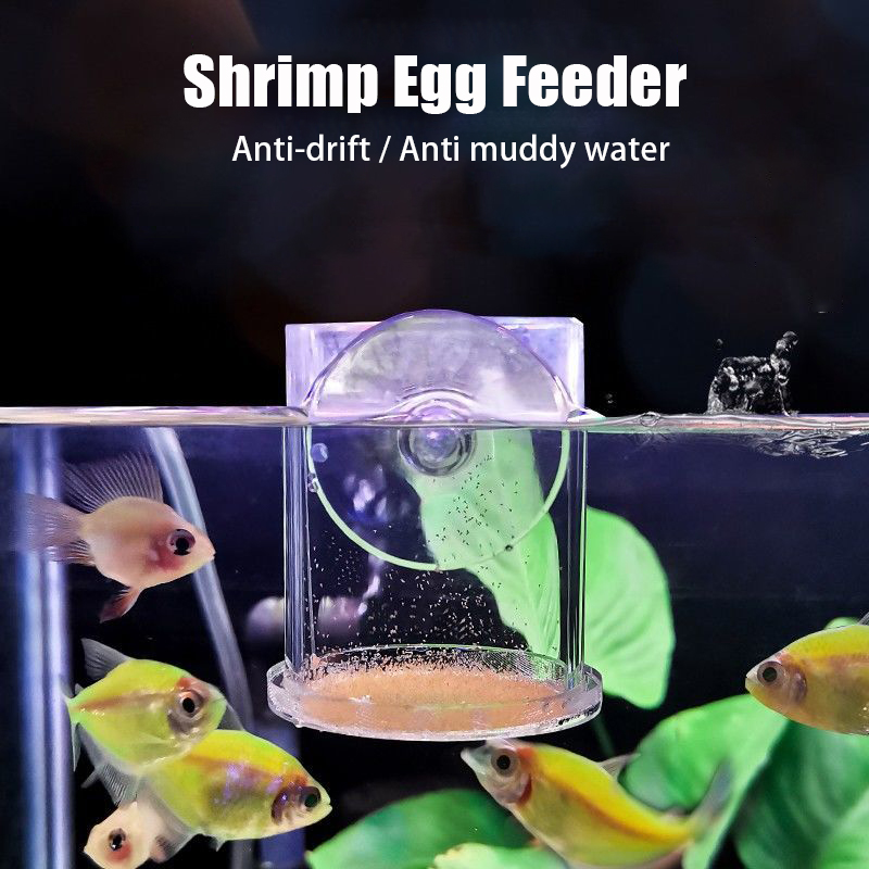 Transparent Arcylic Aquarium F - Aquarium Fish Holiday Food ulasan dan harga