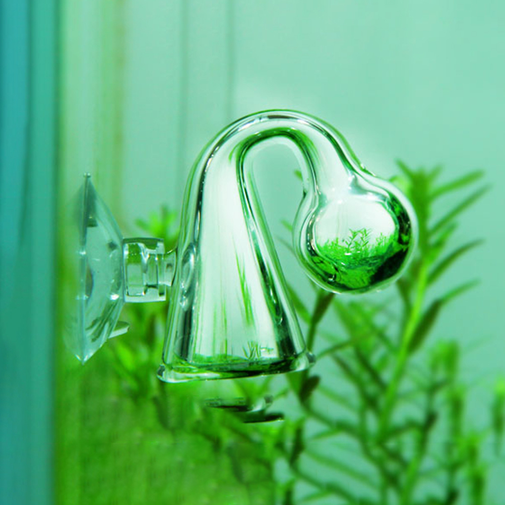 Fish Tank CO2 Diffuse Glass Dr - Aquarium Fish Quarantine ulasan dan harga