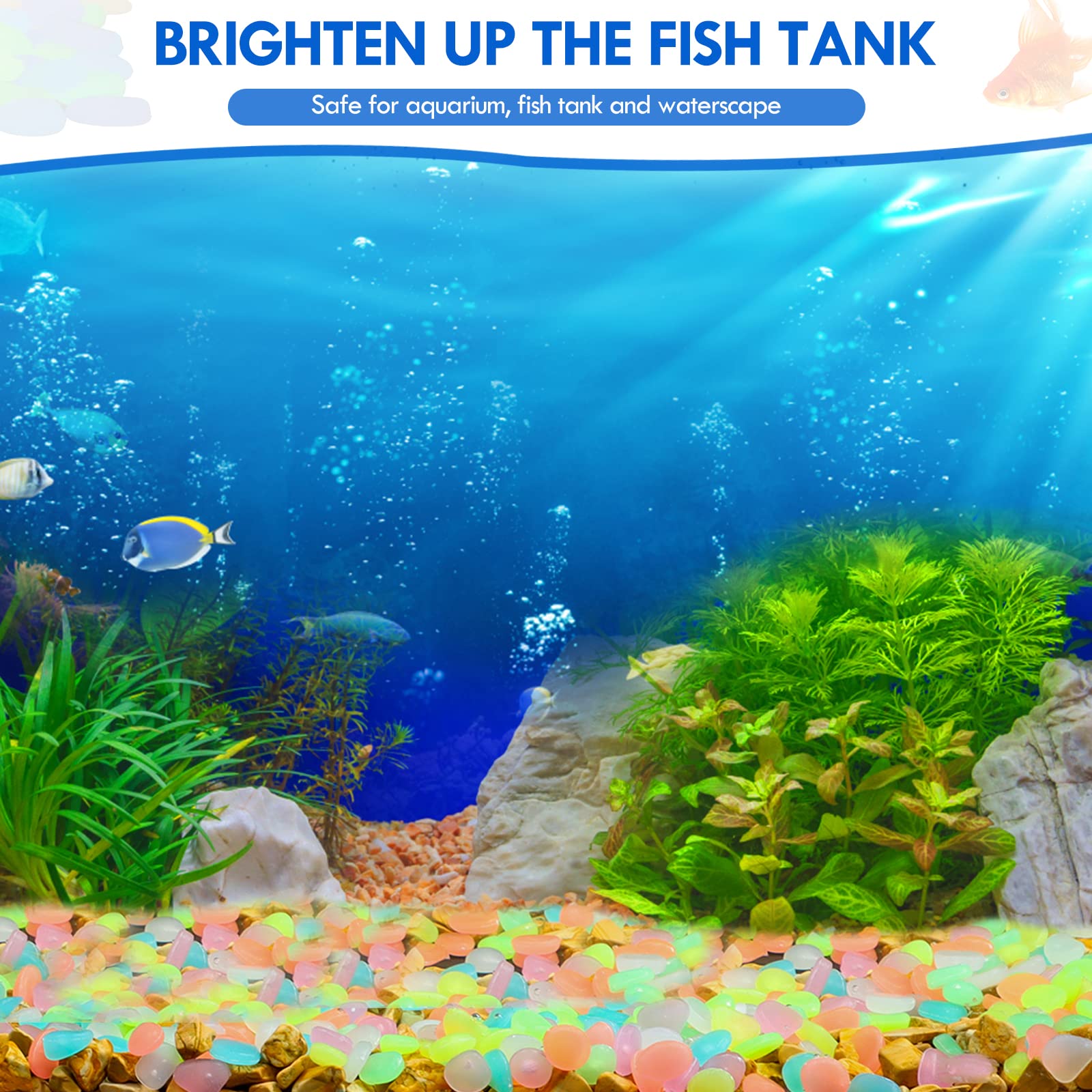 100Pcs Glow in the Dark Garden - Fish Aquarium Home ulasan dan harga