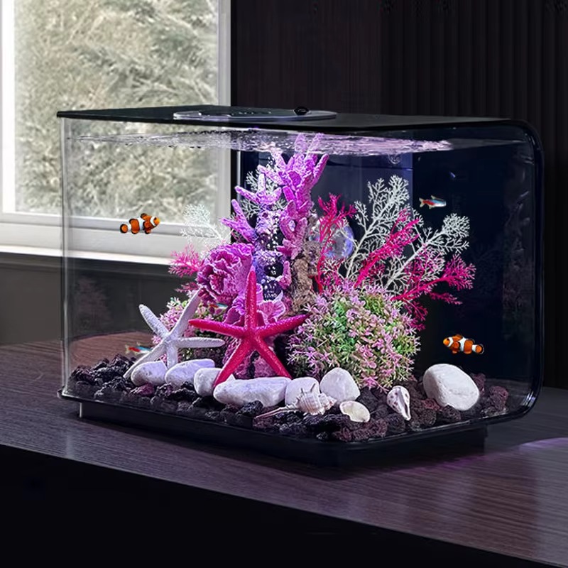 Aquarium Living Room Small Fis - Aquarium Fish Supplier ulasan dan harga