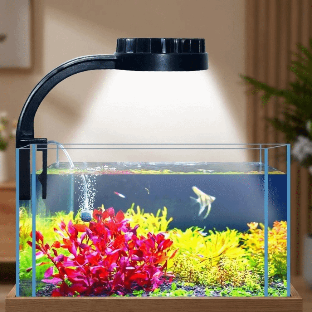 High Brightness Aquarium Clip  - Aquarium Fish Keeping ulasan dan harga
