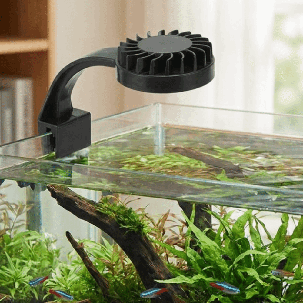 High Brightness Aquarium Clip  - Aquarium Fish Keeping ulasan dan harga