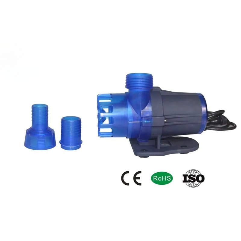 Hot Sale Extra Quiet Seawater  - Aquarium Fish For Sale ulasan dan harga