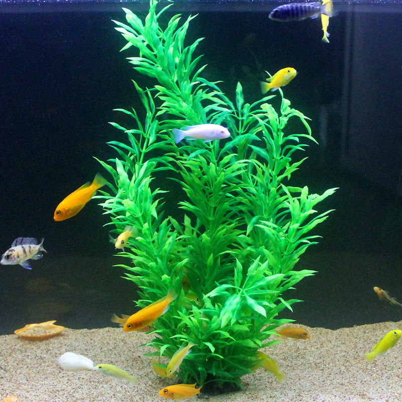 50CM Artificial Fish Tank Rare - Aquarium Fish Quarantine ulasan dan harga