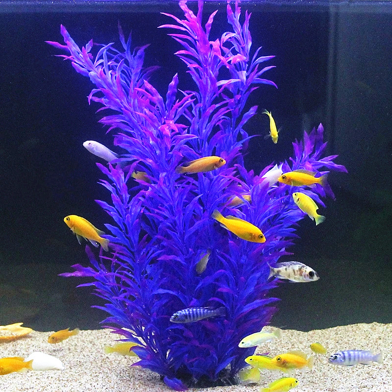 50CM Artificial Fish Tank Rare - Aquarium Fish Quarantine ulasan dan harga