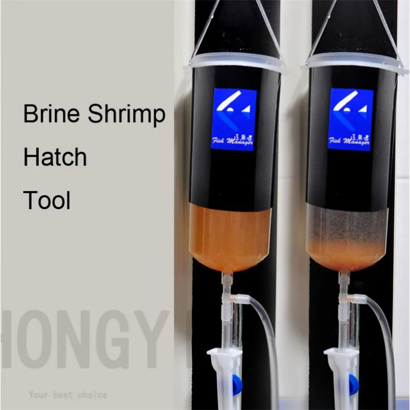 Fairy shrimp egg artemia alive - Aquarium Fish Holiday Food ulasan dan harga