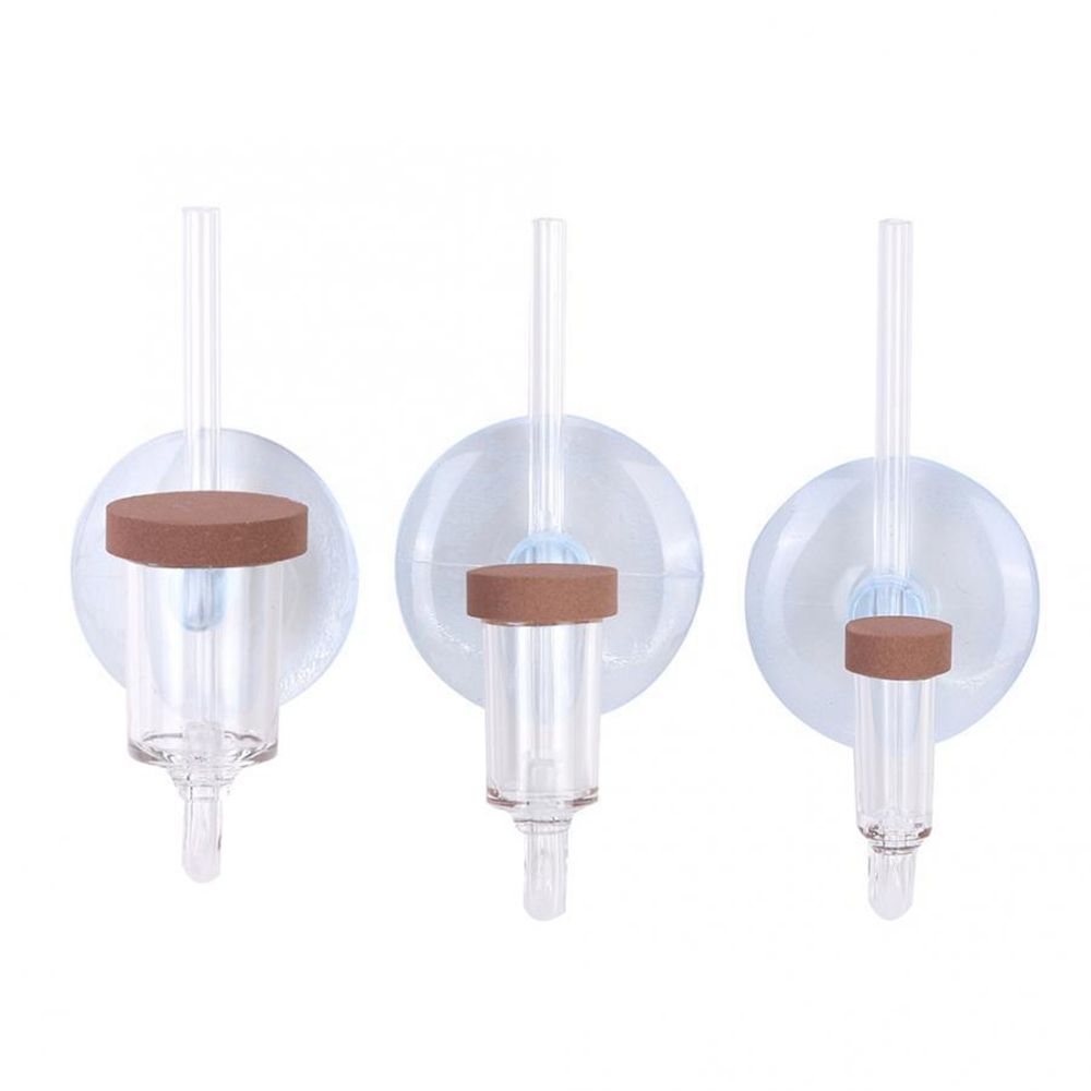 Acrylic Mini Fish Tank Live Pl - Aquarium Fish Quarantine ulasan dan harga