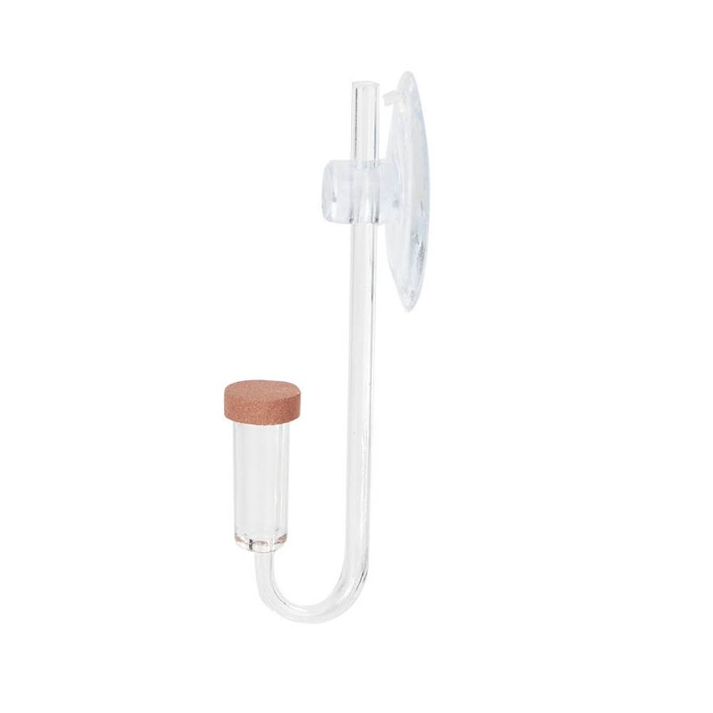 Acrylic Mini Fish Tank Live Pl - Aquarium Fish Quarantine ulasan dan harga