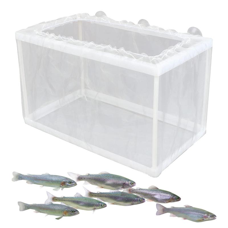 Fish Breeder Box with Suction, - Aquarium Fish For Sale ulasan dan harga