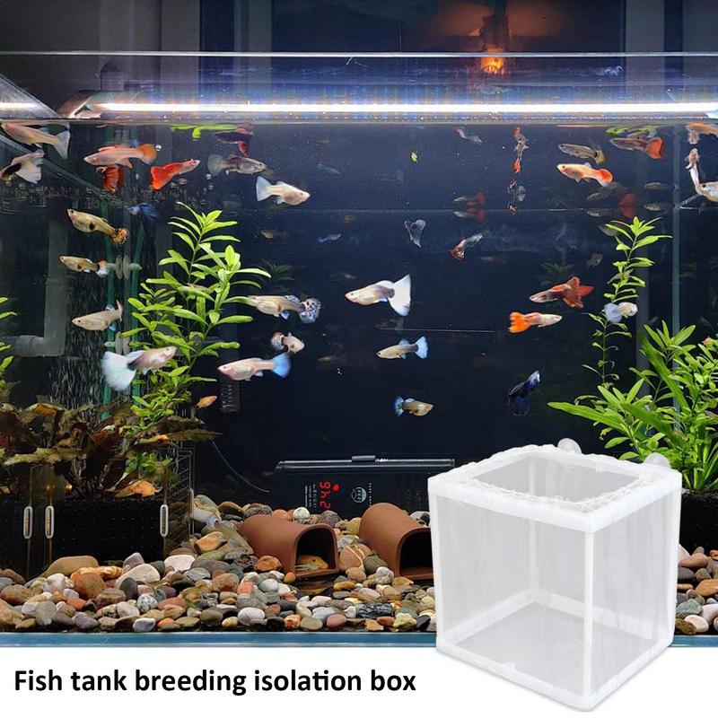 Fish Breeder Box with Suction, - Aquarium Fish For Sale ulasan dan harga