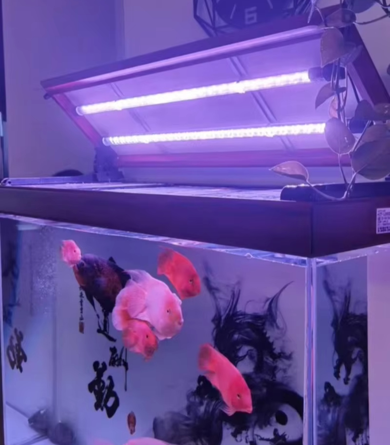 Aquarium LED Light Bar Multi C - Aquarium Fish Lamp ulasan dan harga