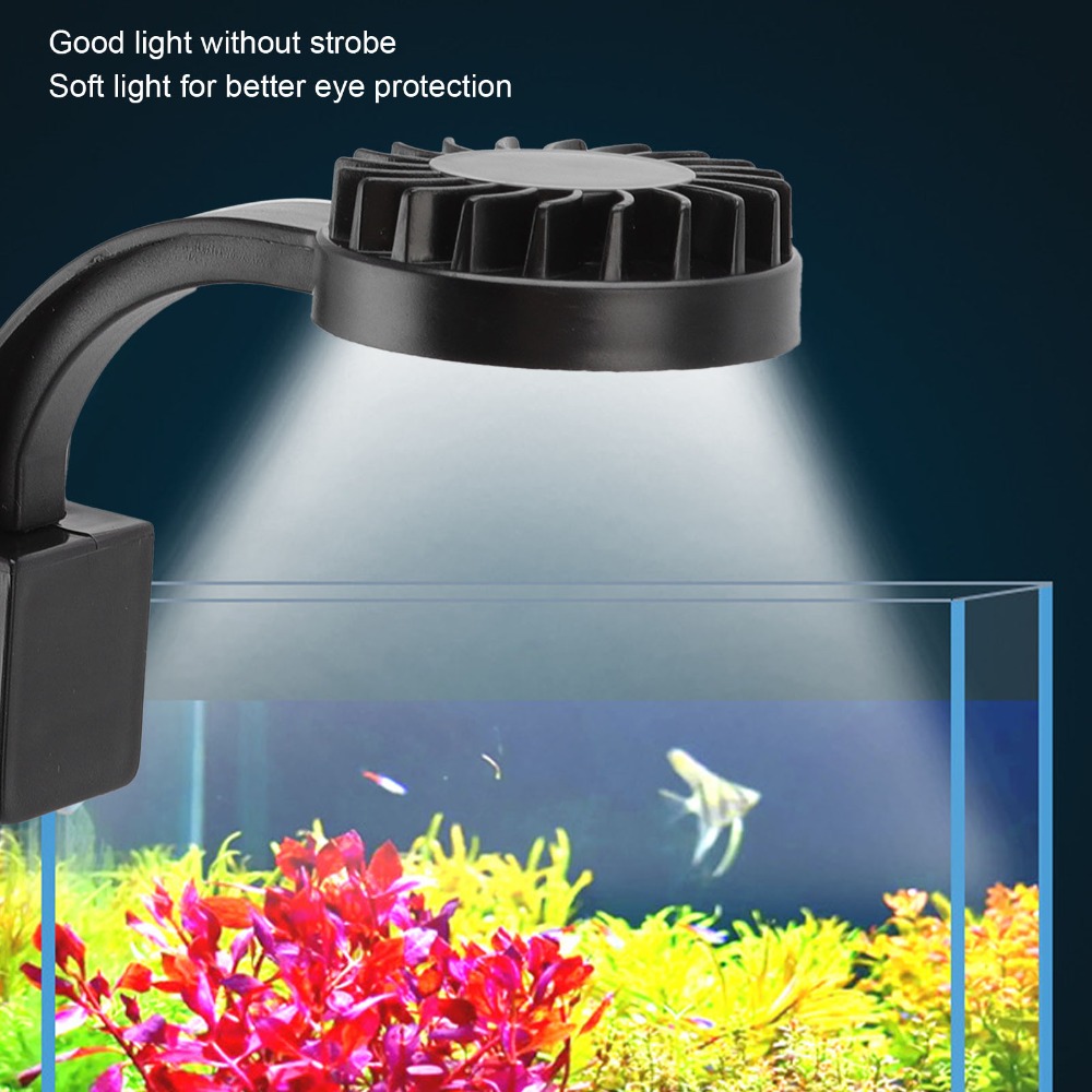 High Brightness LED Fish Tank  - Aquarium Fish Keeping ulasan dan harga