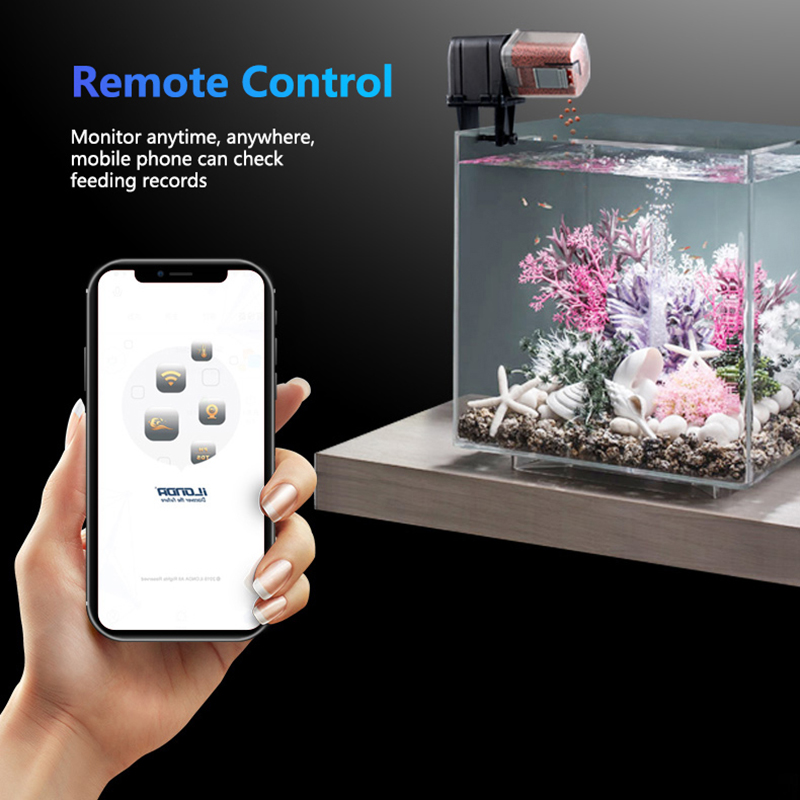 Smart WiFi Fish Feeder Remote  - Aquarium Fish Holiday Food ulasan dan harga