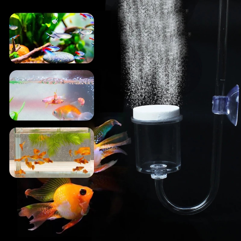4pcs Set DIY CO2 Diffuser For  - Aquarium Fish Quarantine ulasan dan harga