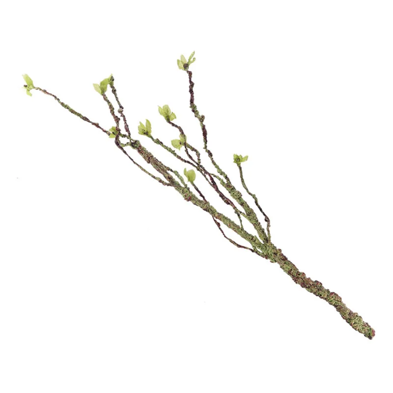Vines Decor Climbing Branches  - Aquarium Fish Quarantine ulasan dan harga