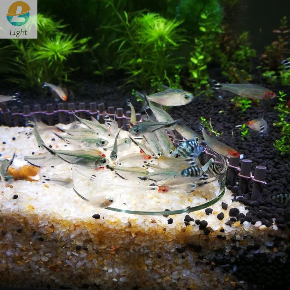 Aquarium Feeder Bowls Dish Cle - Aquarium Fish Keeping ulasan dan harga