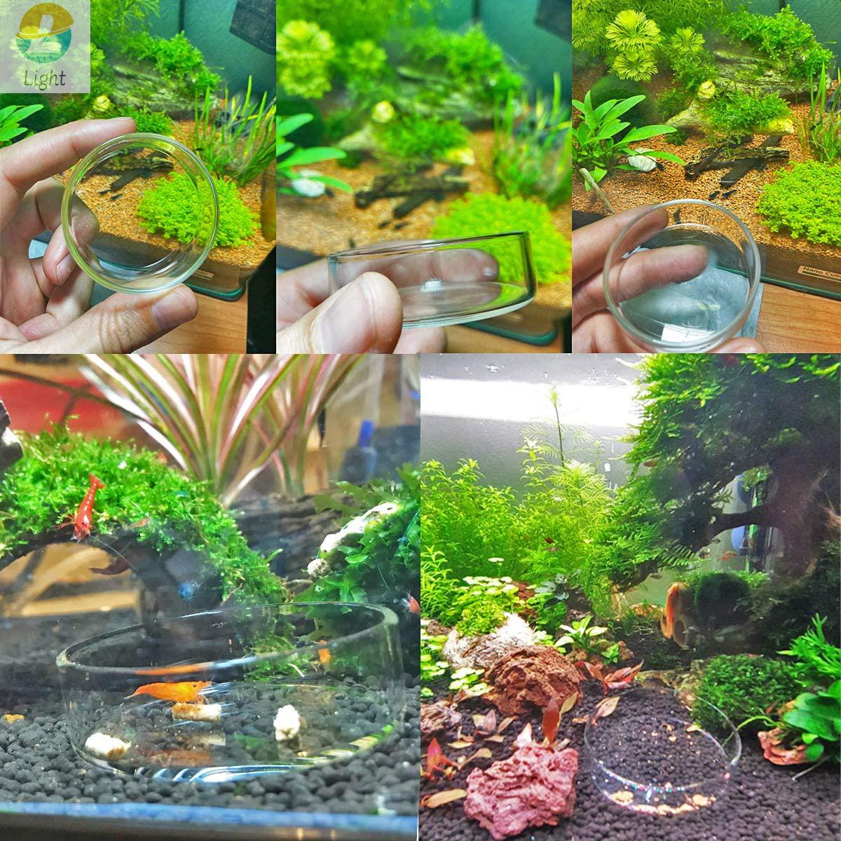 Aquarium Feeder Bowls Dish Cle - Aquarium Fish Keeping ulasan dan harga