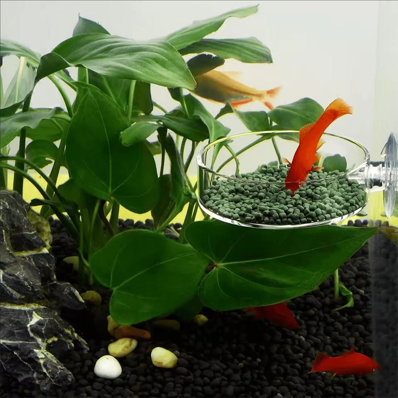 Transparent Acrylic Transparen - Aquarium Fish Holiday Food ulasan dan harga
