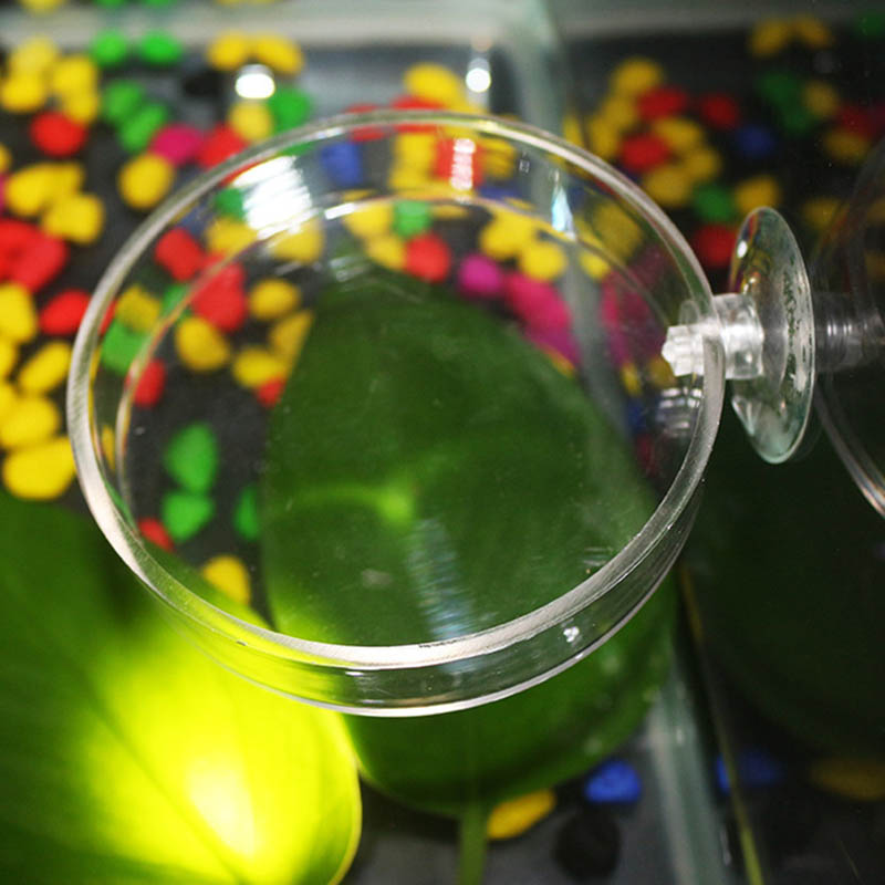 Transparent Acrylic Transparen - Aquarium Fish Holiday Food ulasan dan harga