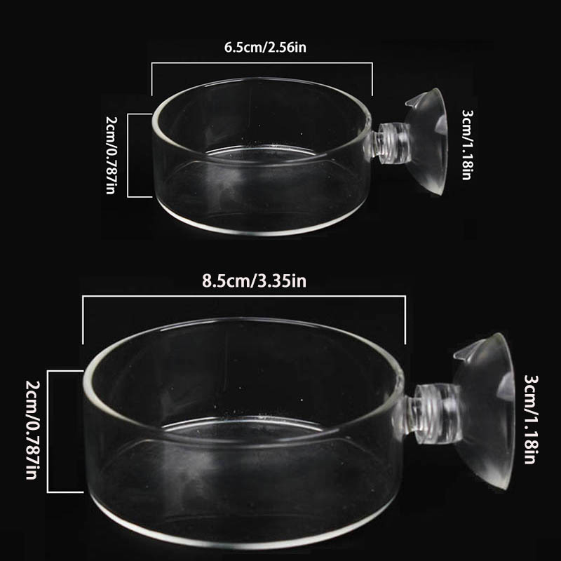 Transparent Acrylic Transparen - Aquarium Fish Holiday Food ulasan dan harga