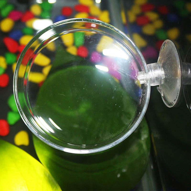 Transparent Acrylic Transparen - Aquarium Fish Holiday Food ulasan dan harga